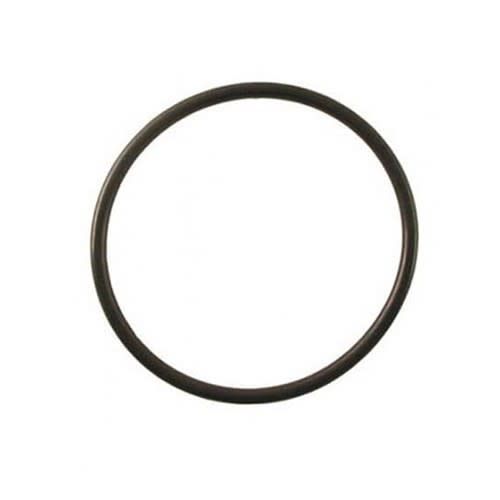 AquaForte O-ring deksel CBF-12000/15000&PF40 afbeelding