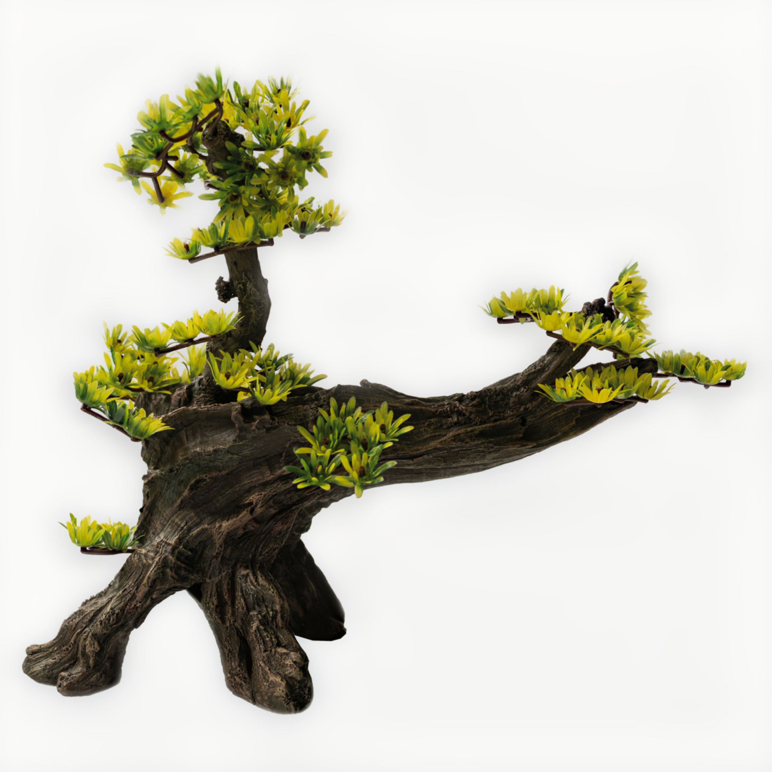 Deco Bonsai L