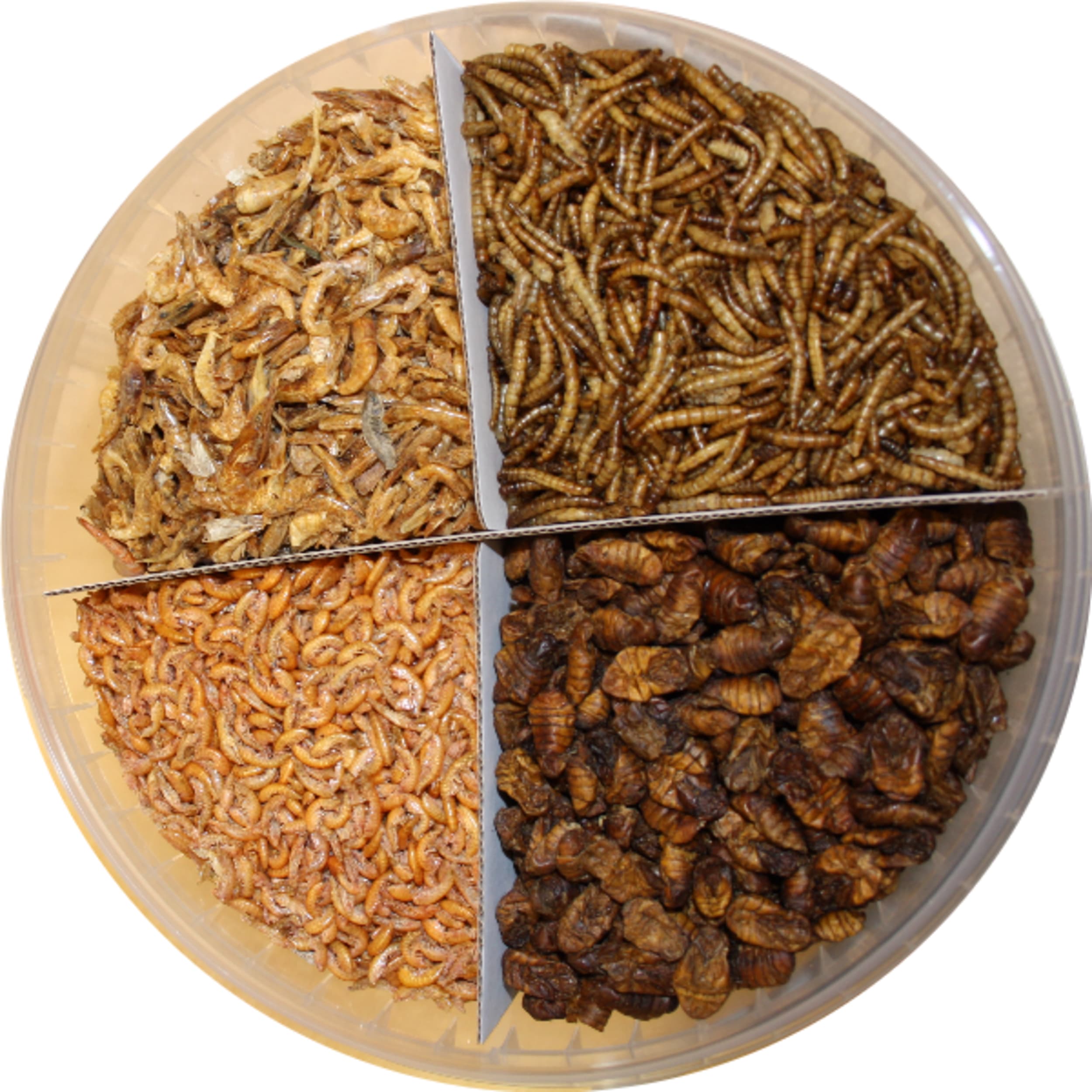 Pond Pro Natuur Mix Koisnack - Emmer 5L met Gammarus, Garnalen, Zijderupsen & Meelwormen afbeelding