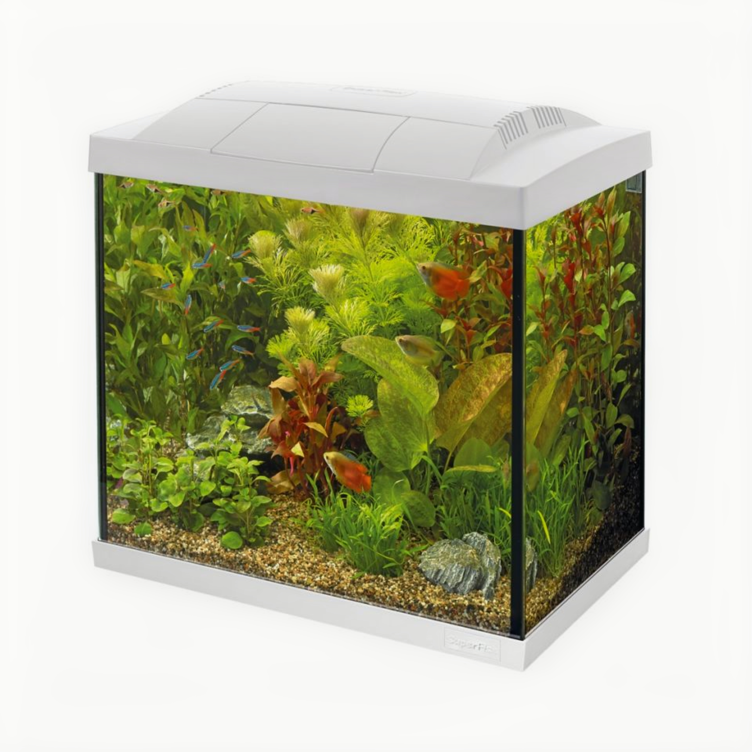 SuperFish - Start 50 Tropical Kit Wit