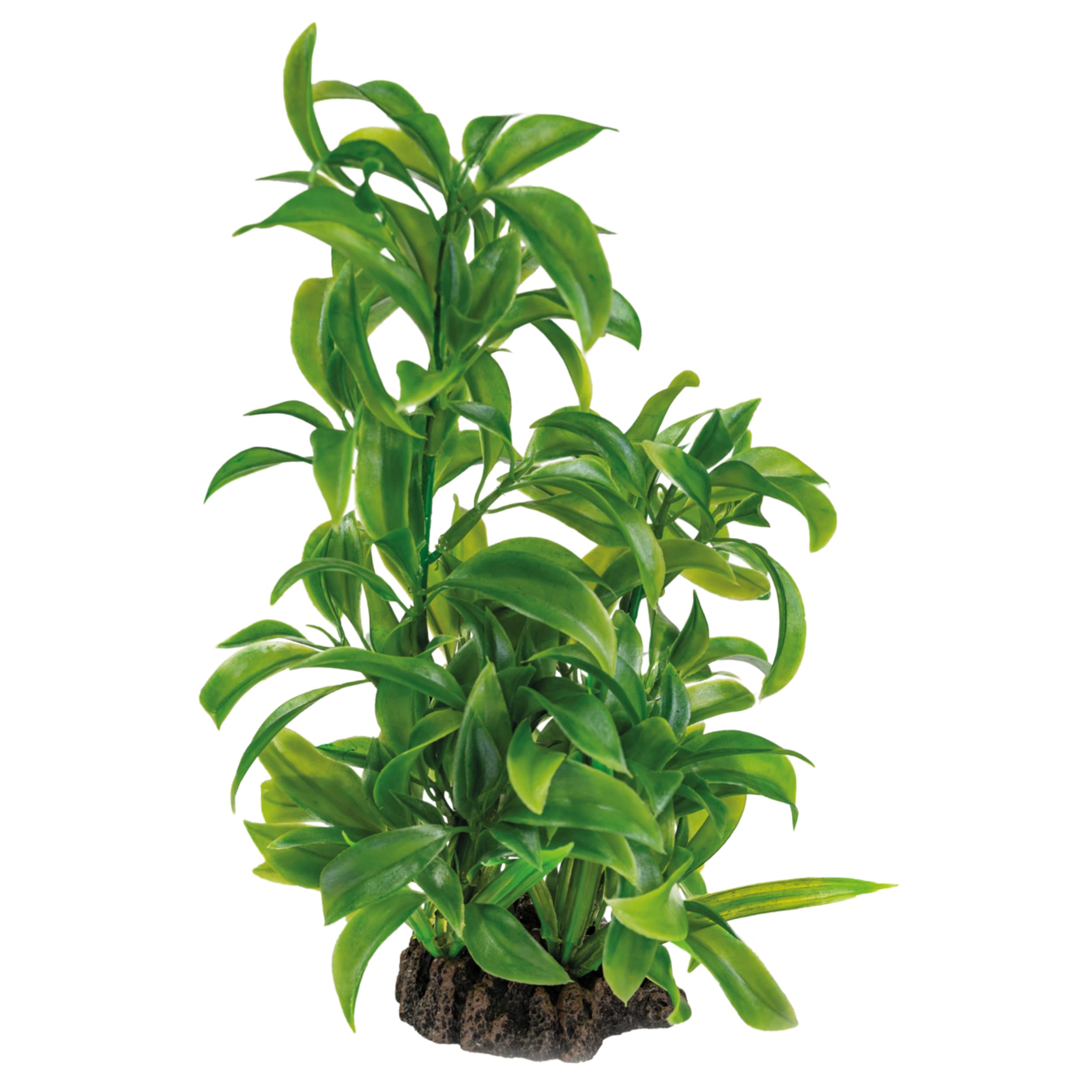 Superfish Art Plant 25cm Dracaena - Natuurgetrouwe Kunstplant voor Aquarium Decor afbeelding