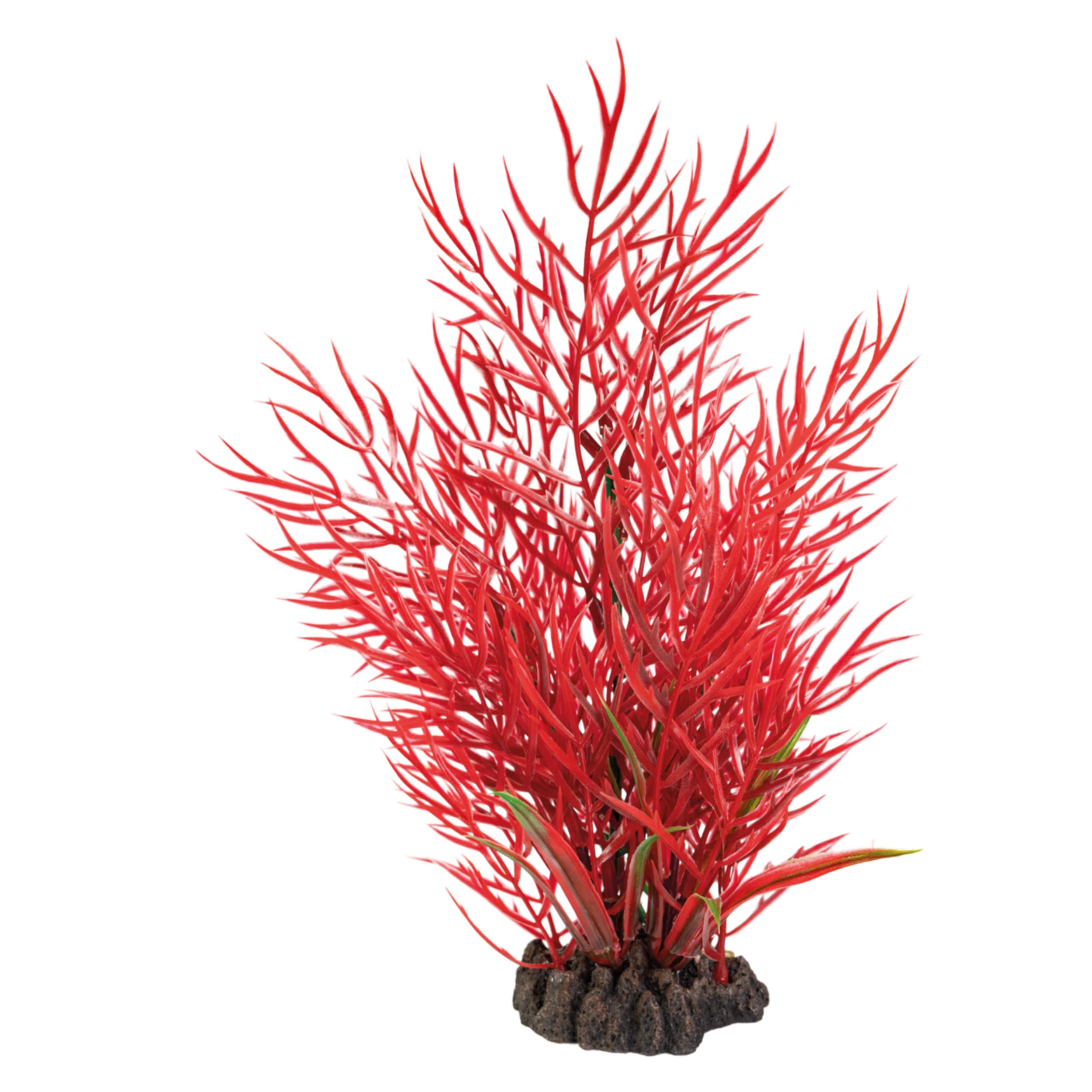 Superfish Art Plant Ludwigia 25cm - Kunststof Aquariumplant, Onderhoudsvrij & Visvriendelijk afbeelding