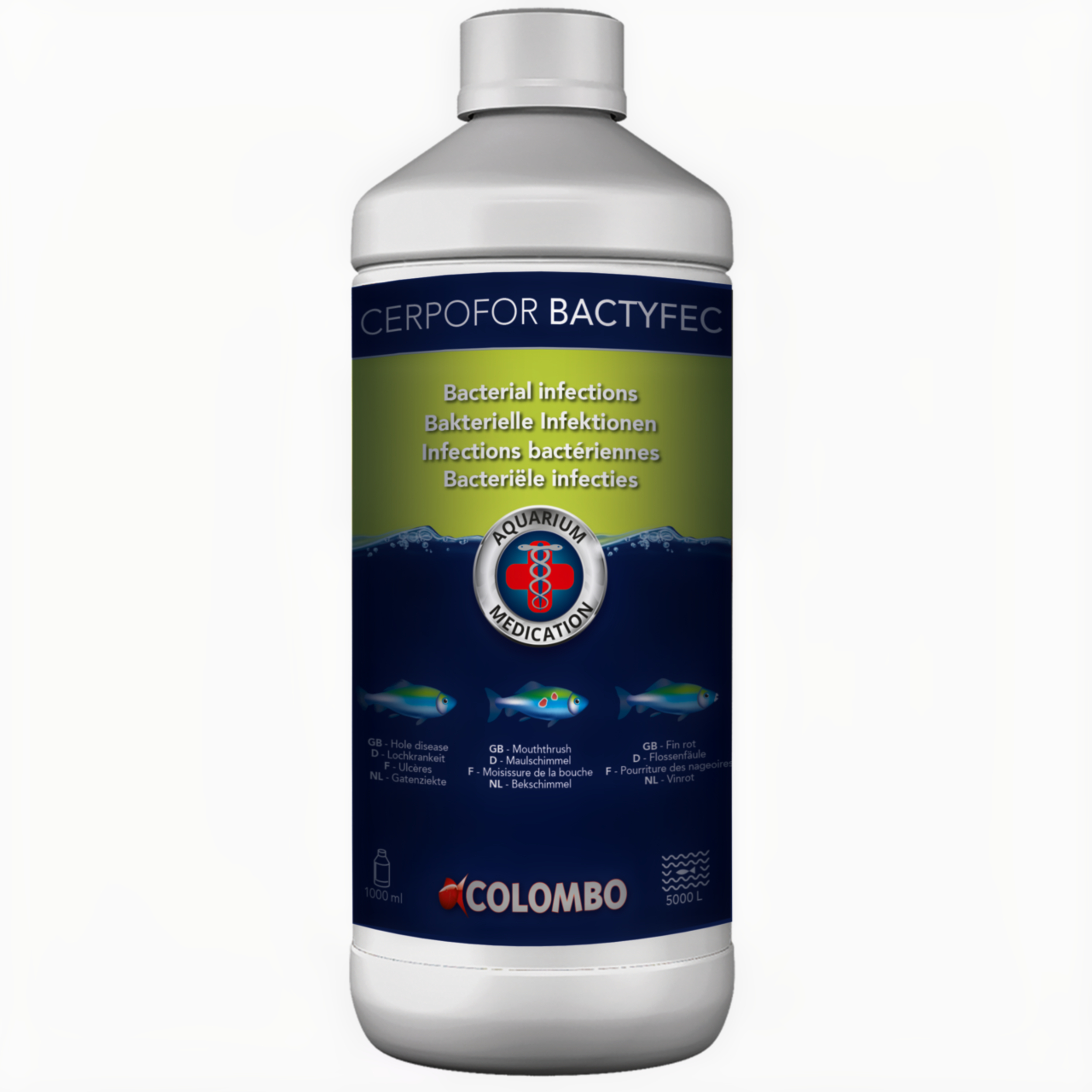 Fles, Fles met water, Dier, Vis, Zeeleven