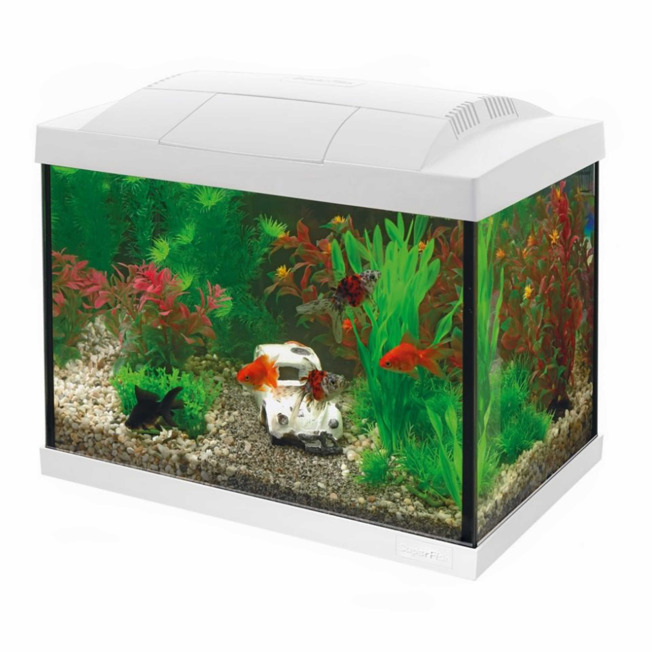 SuperFish - Start 20 Goldfish Kit Wit