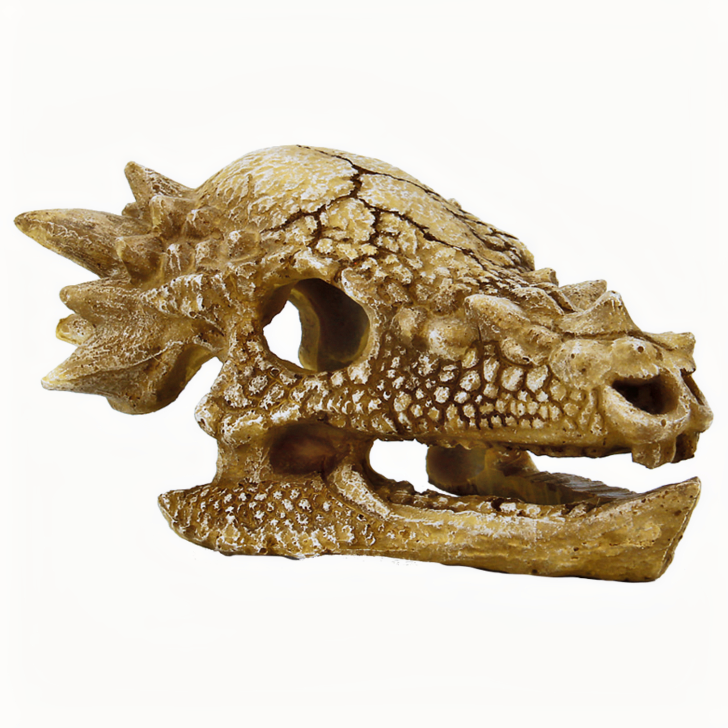 Superfish Skull T Rex M | Prehistorische Dino Schedel als Aquarium Decor & Schuilplaats afbeelding