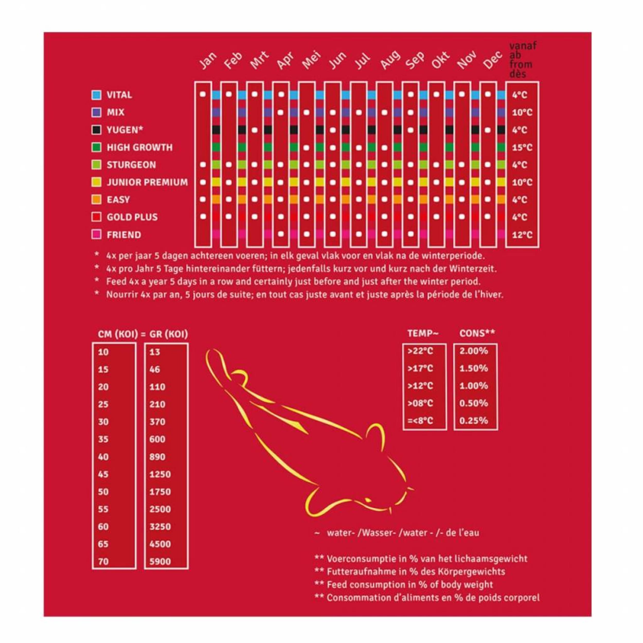 Takazumi steur 1,5 kg