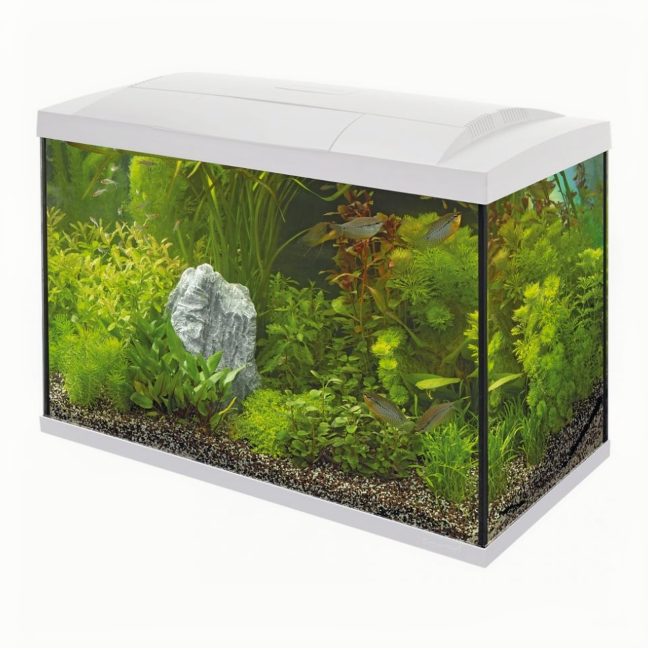 Superfish Start 70 Tropical Kit Wit - 60L Compleet Aquarium met LED, Filter & Heater afbeelding