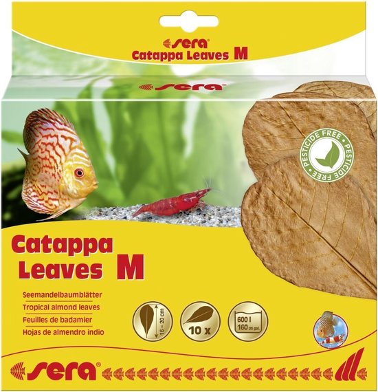 Sera Catappa Leaves M 16-20 cm - Natuurverzorging Aquarium, 10-pack Verbetert Waterkwaliteit afbeelding