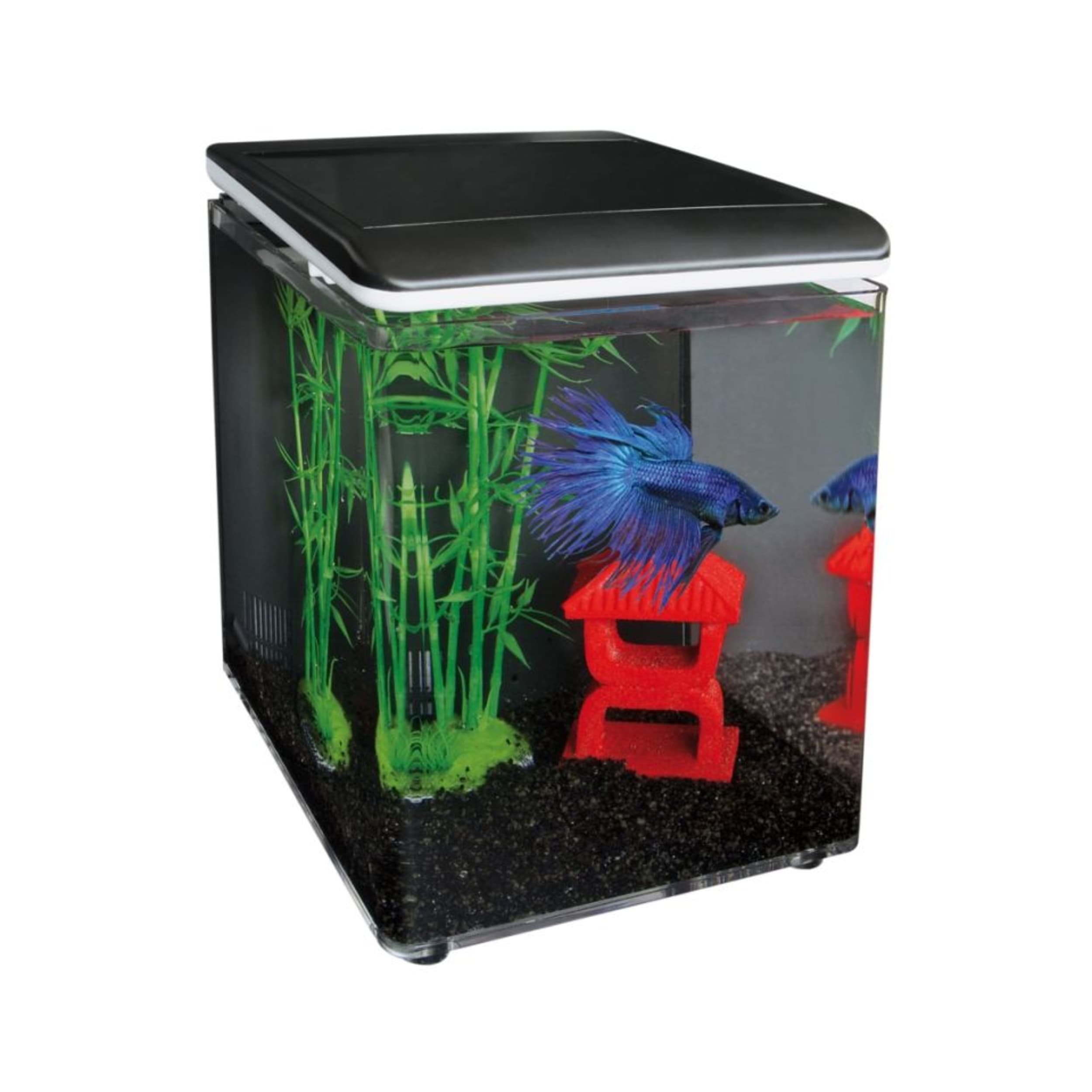 Superfish Betta 8 Aquarium Zwart - Complete Set met Eco Heater & LED Verlichting, 8L afbeelding