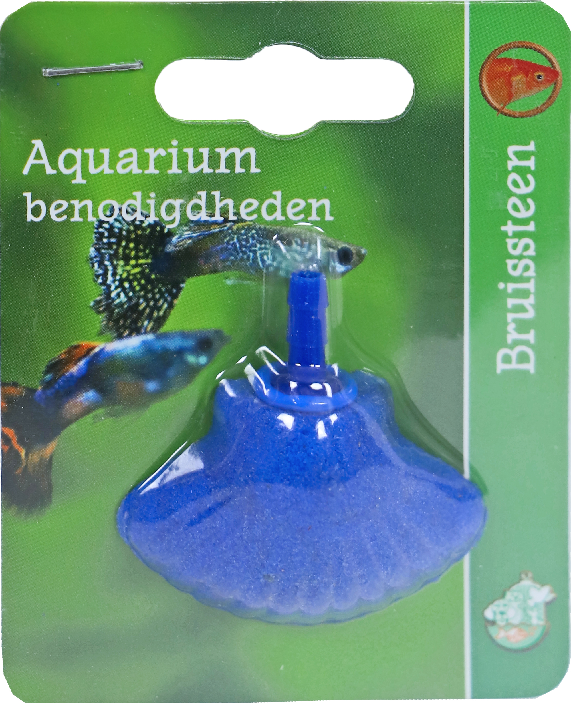 Gebr. de Boon Bruissteen schelp 4.5 cm op blister