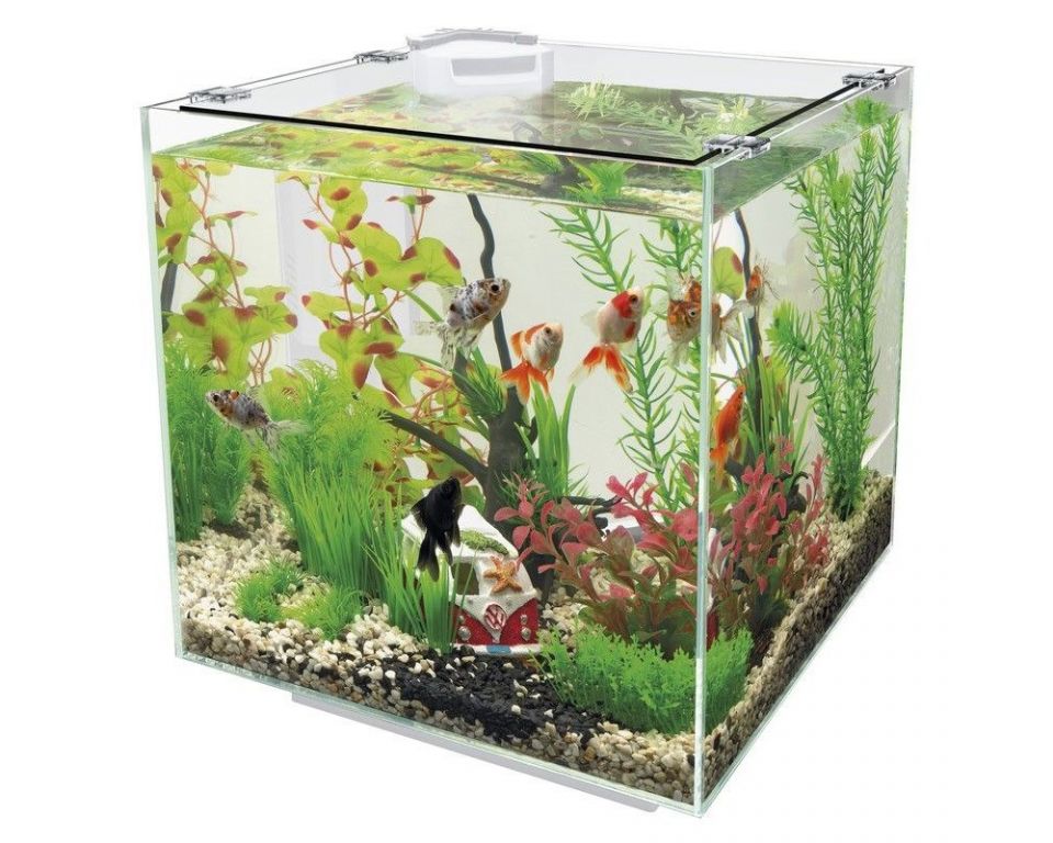 Superfish Qubiq 30L Wit - Stijlvol Glazen Cube Aquarium met Ingebouwde Filter en 2 Jaar Garantie afbeelding