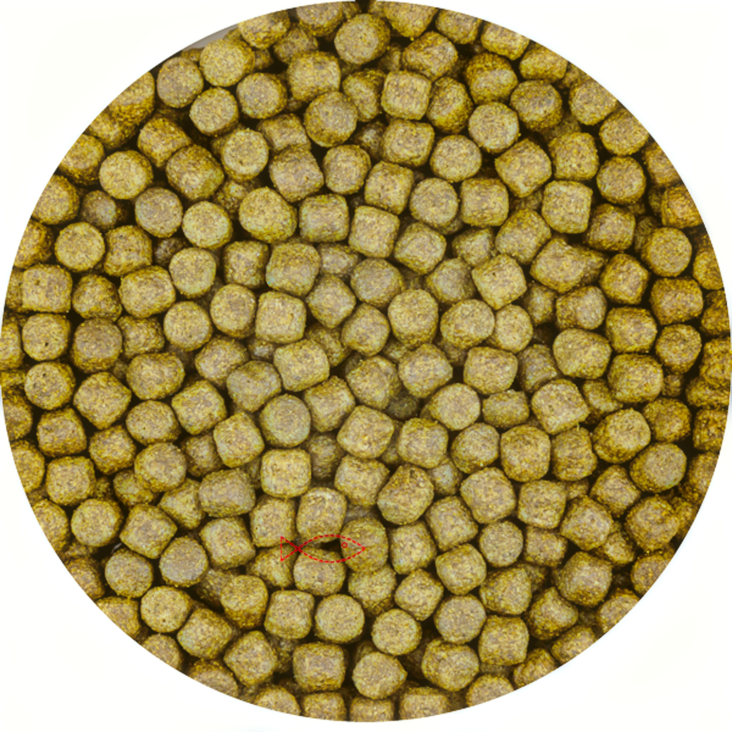 Vivani koivoer Color Met Spirulina 6mm 6kg Zak