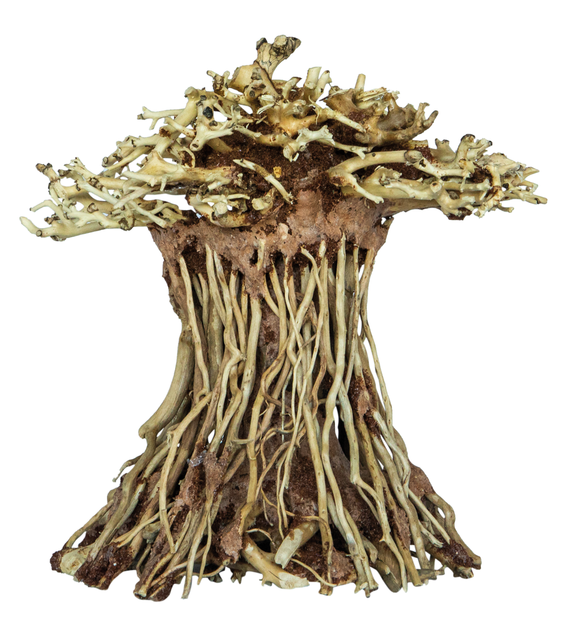Superfish Bonsai Mushroom Small - Sfeervol Handgemodelleerd Aquarium Decor, Zen Uitstraling afbeelding