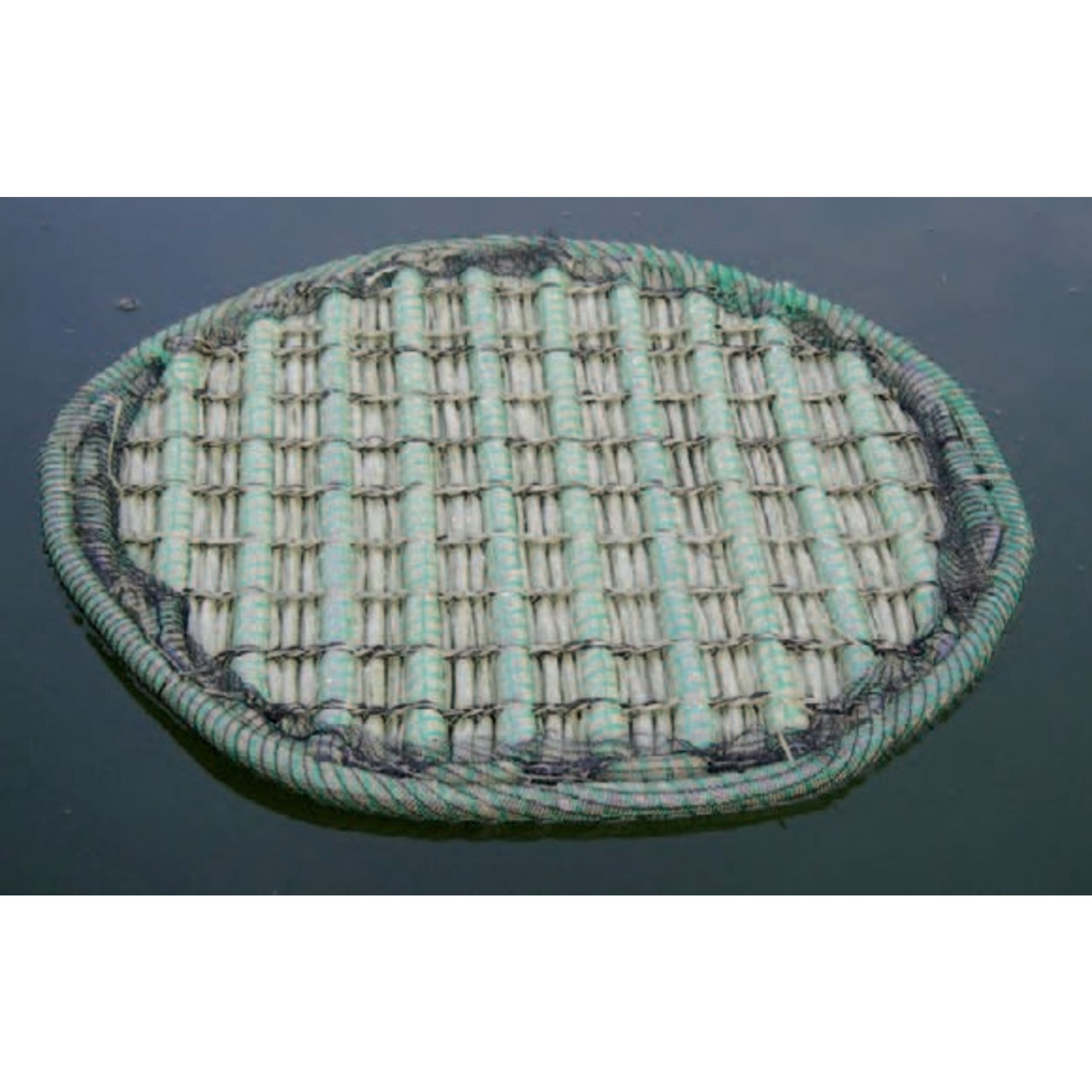 Europond Floating Plant Island Ø 61cm - Low Maintenance, Eco-Friendly, for a Clear Pond afbeelding