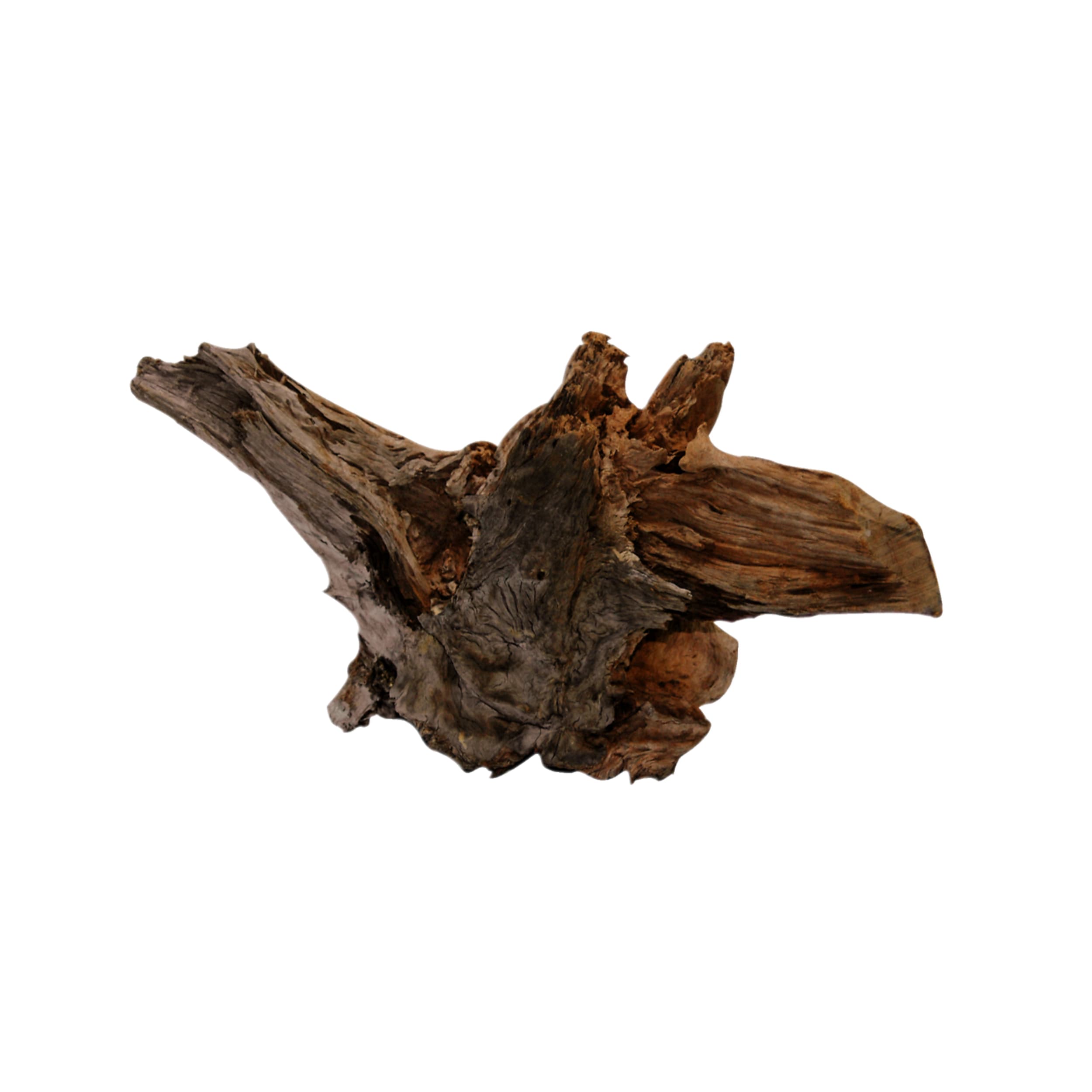 DRIFTWOOD L 48-60CM 00001