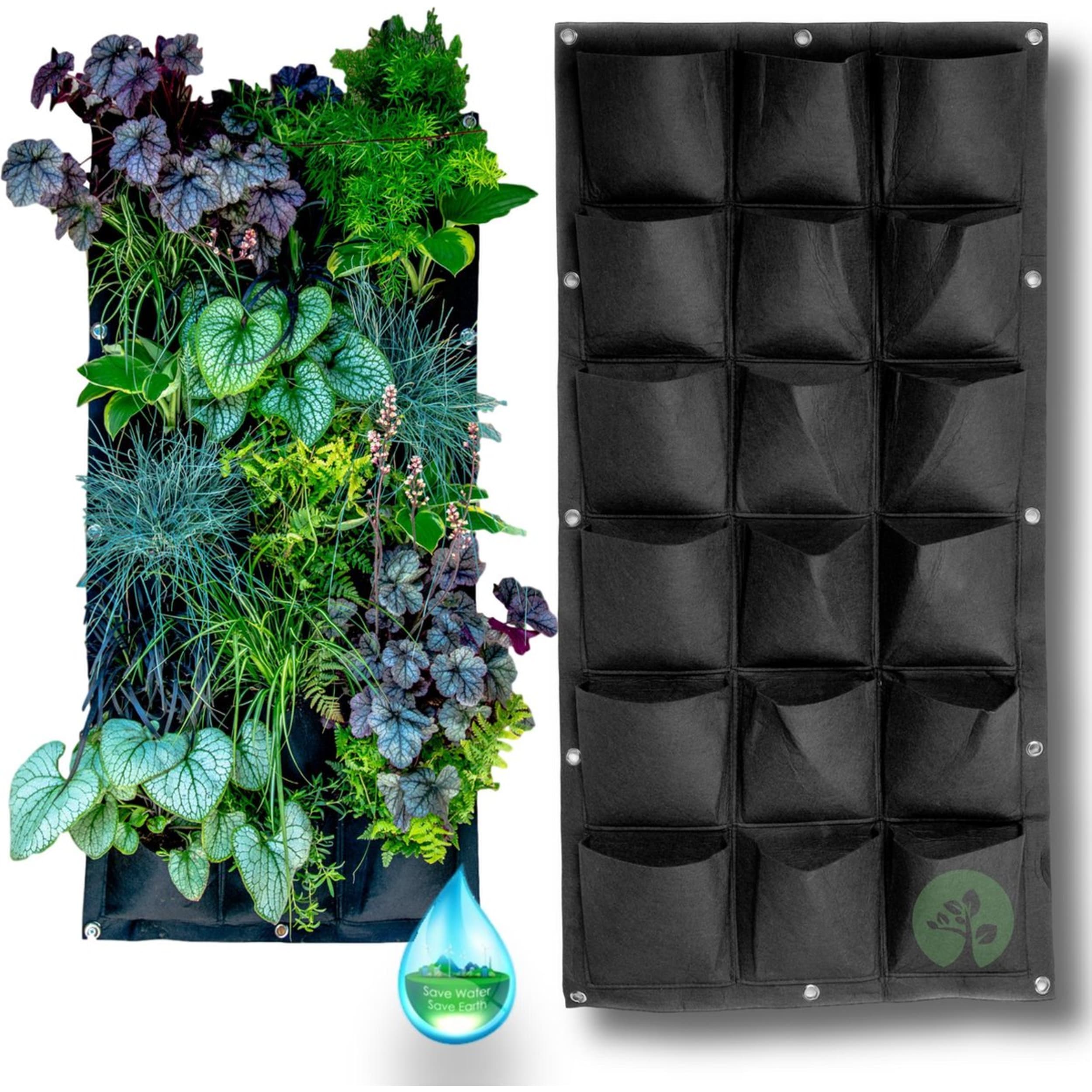 Plant, Potplant, Kruiden, Planter