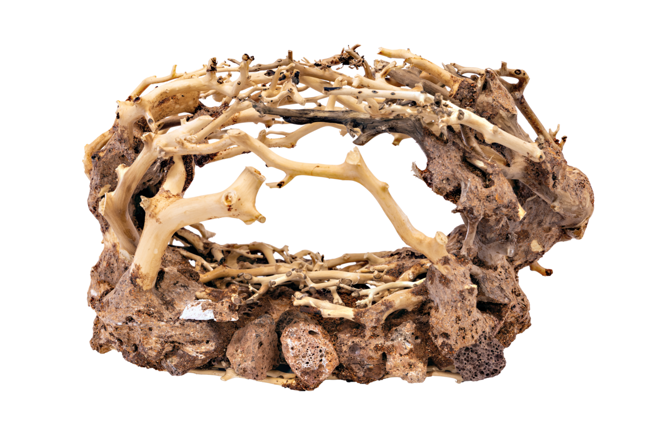 Superfish Bonsai Rock Large - Handgemodelleerd Hout voor Aquarium & Vijver Decoratie afbeelding