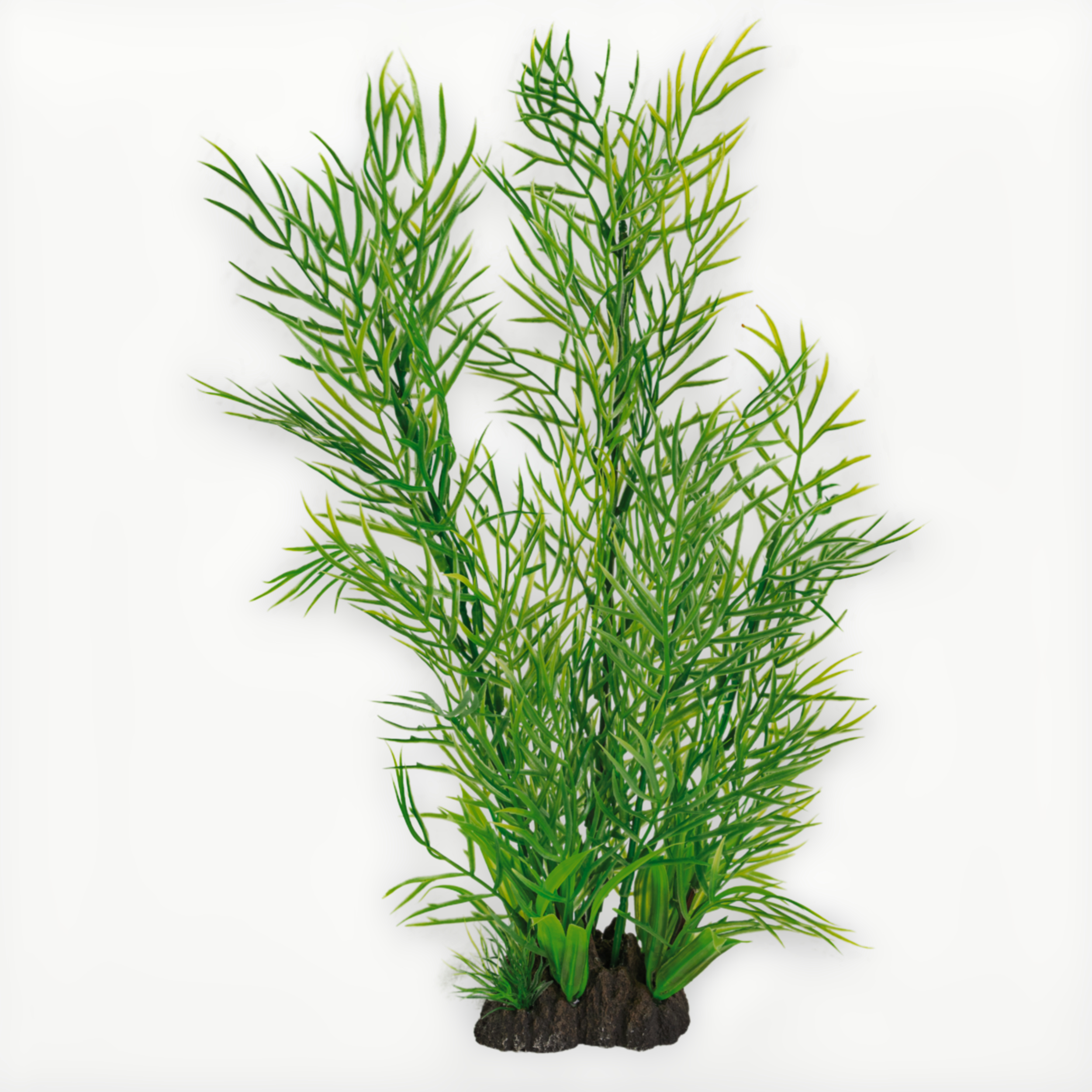 Art Plant 40cm Ceratopteris