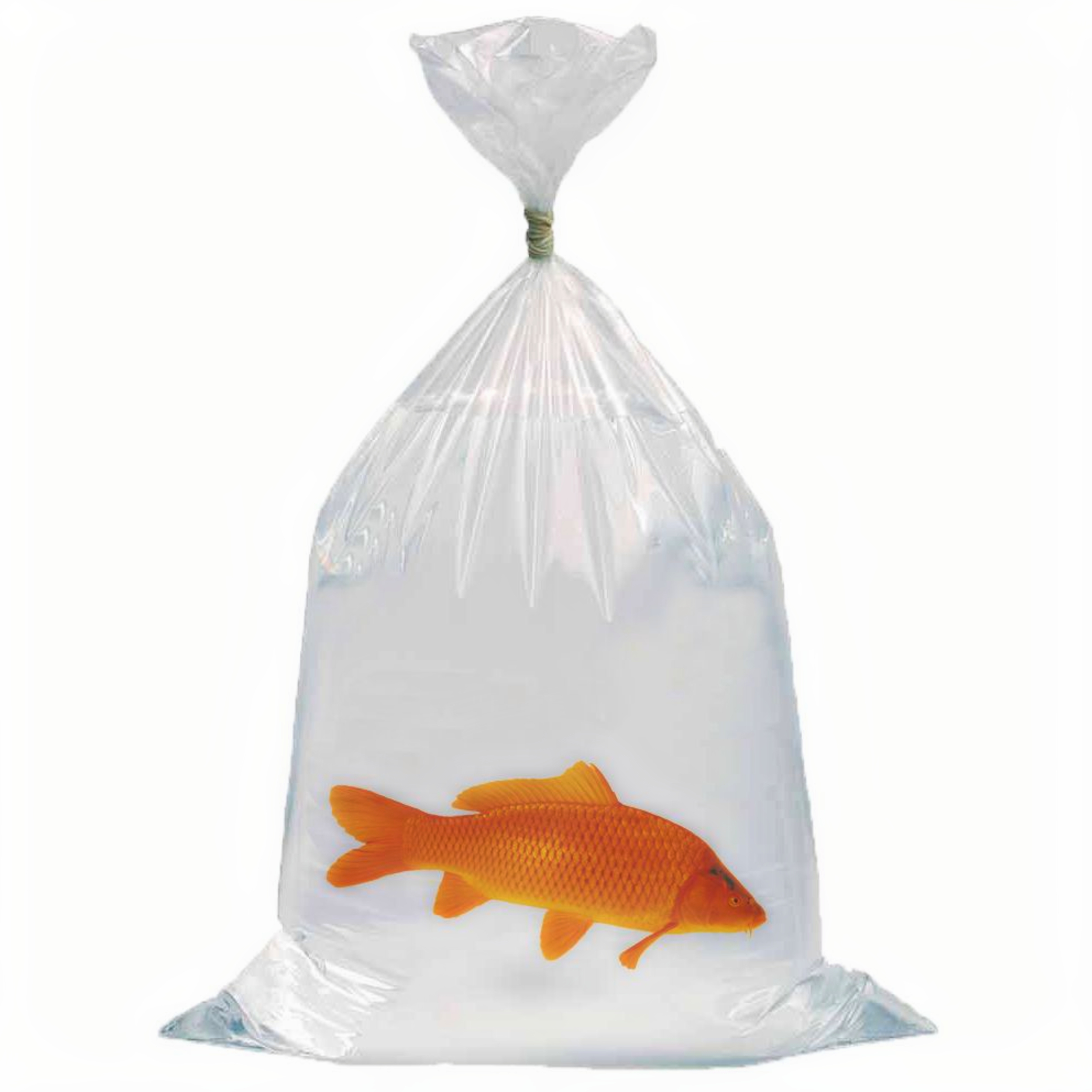 Vistransportzakken 50 x 100cm en 0,06mm dik - Doos (250 stuks) afbeelding