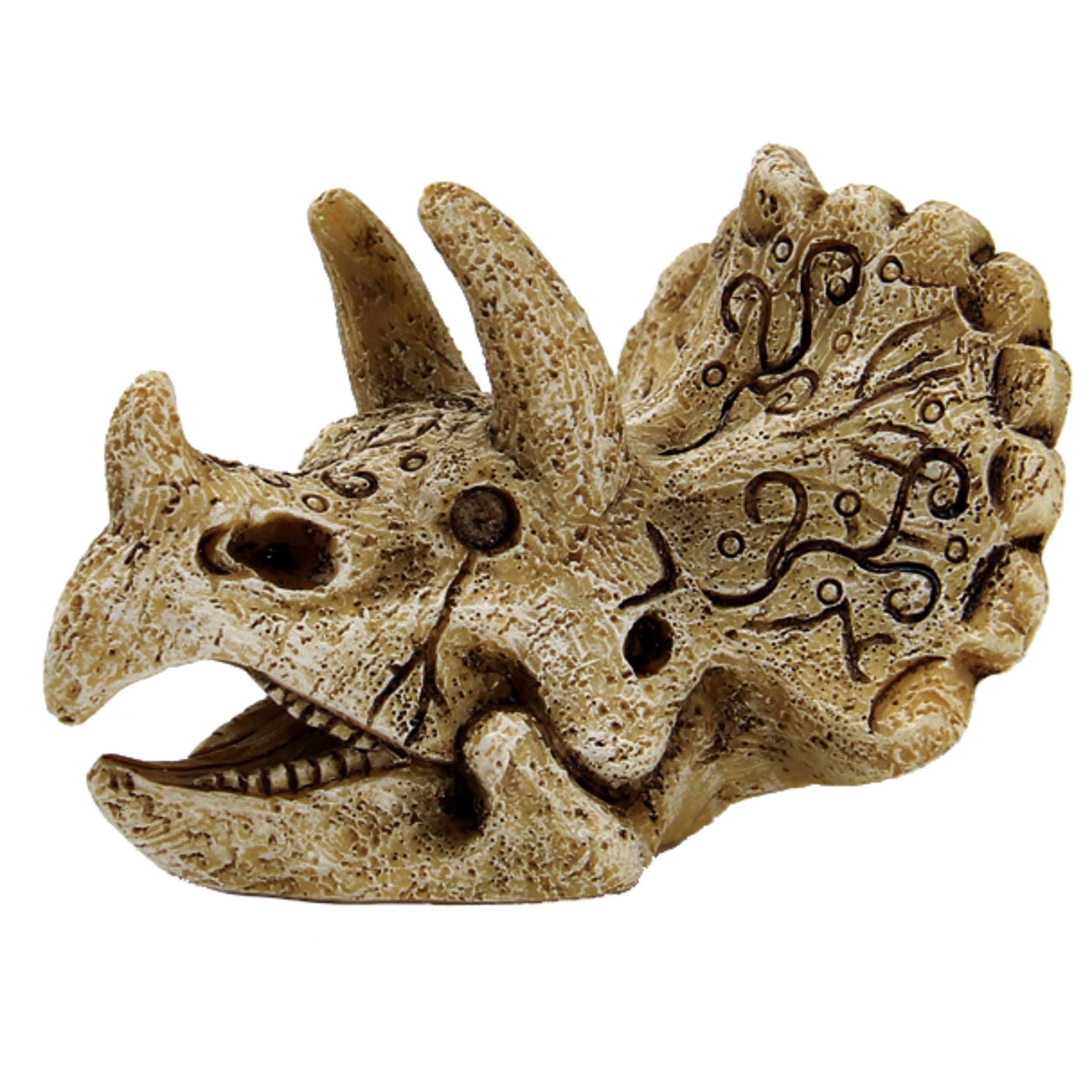 Superfish Skull Triceratops S - Unieke Prehistorische Aquarium Decoratie & Schuilplaats afbeelding