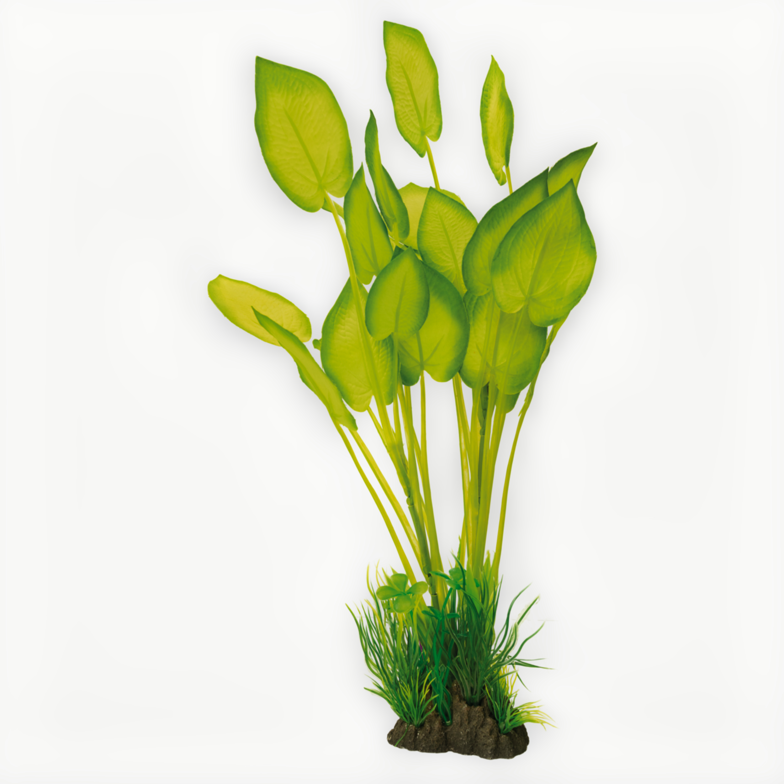 Art Plant 40cm Echinodorus