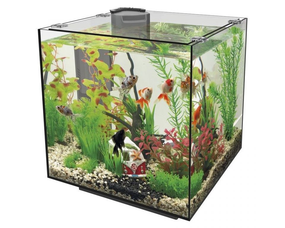 Superfish Qubiq 30 Zwart Aquarium - 30L met Geïntegreerde Filter en Glazen Afdekruit, 2jr Garantie afbeelding