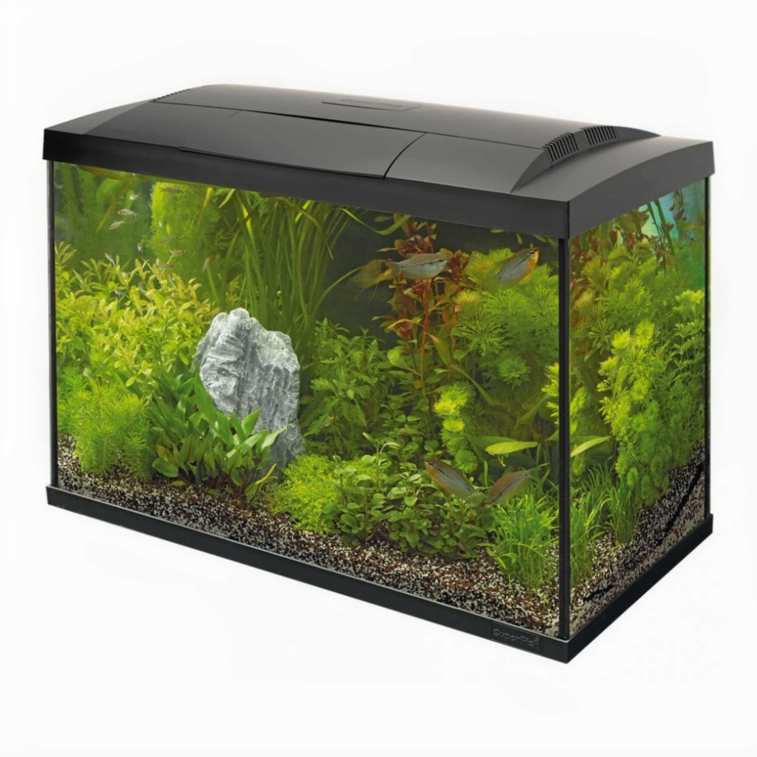 SuperFish - Start 70 Tropical Kit Zwart