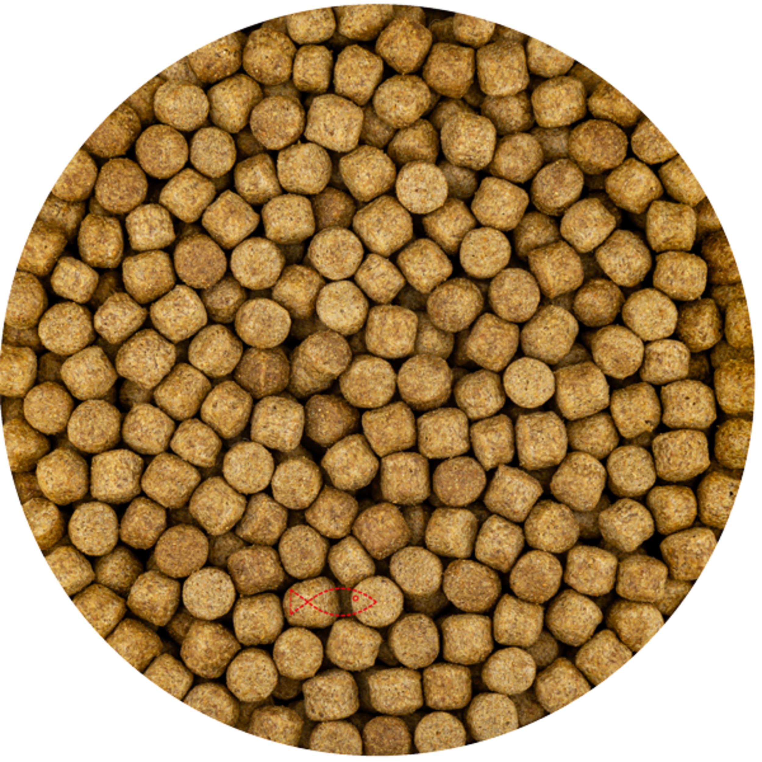 Wheat Germ 6mm (15 Kilo Zak) Wheat Germ 6mm (15 Kilo Zak)