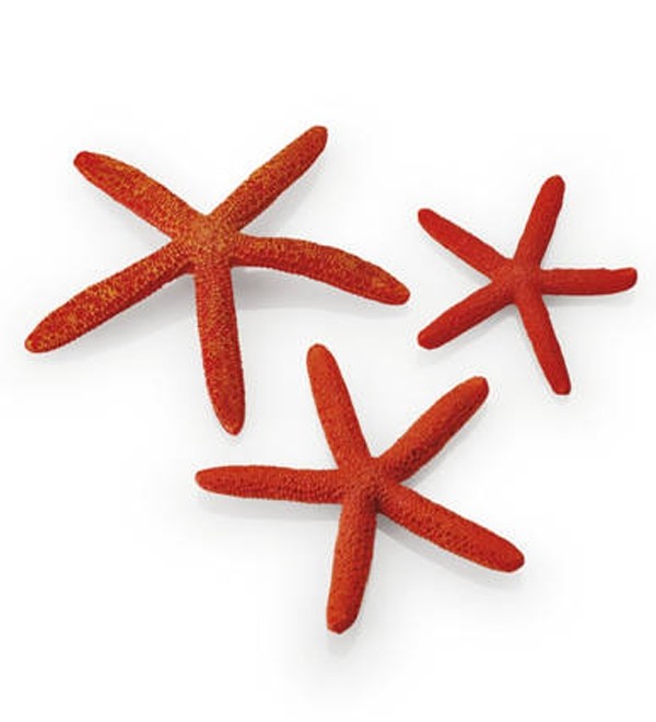 biOrb Set Zeesterren Rood