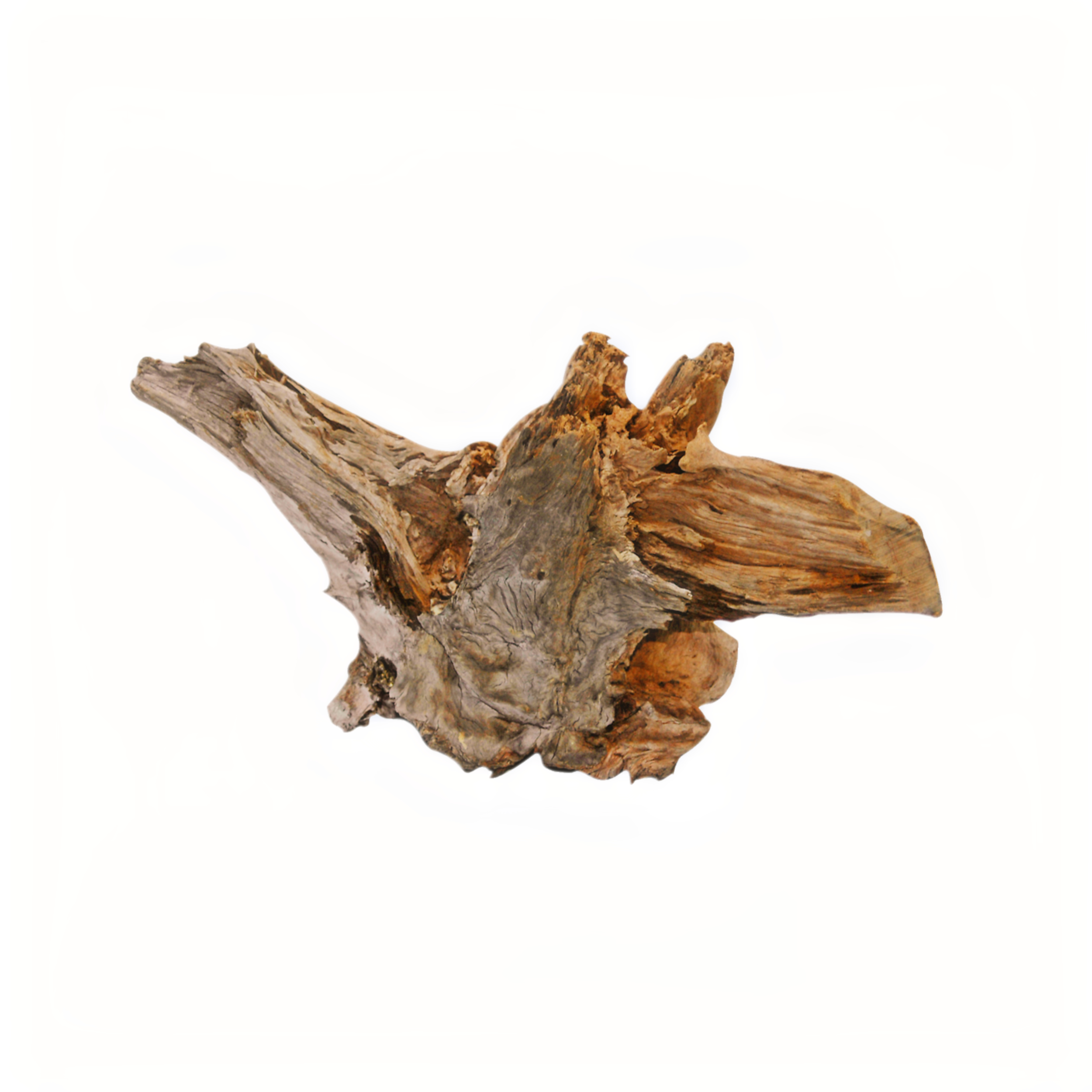 DRIFTWOOD SUPER LARGE N 00001
