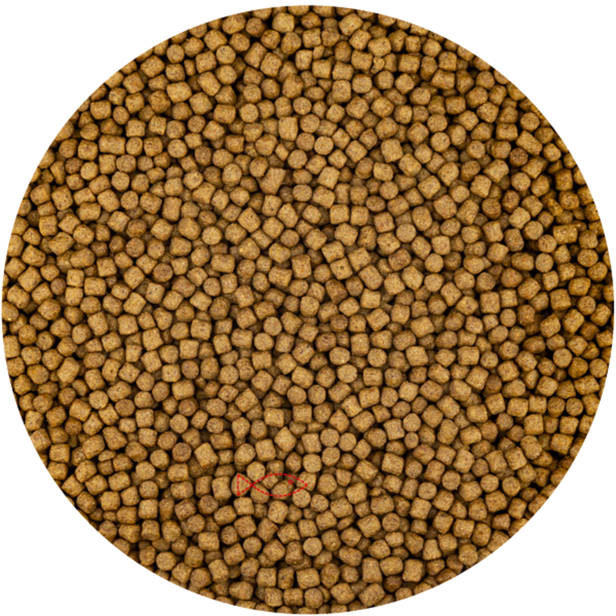 Wheat Germ 3mm - (2 Kilo Zak) Woondecoratie
