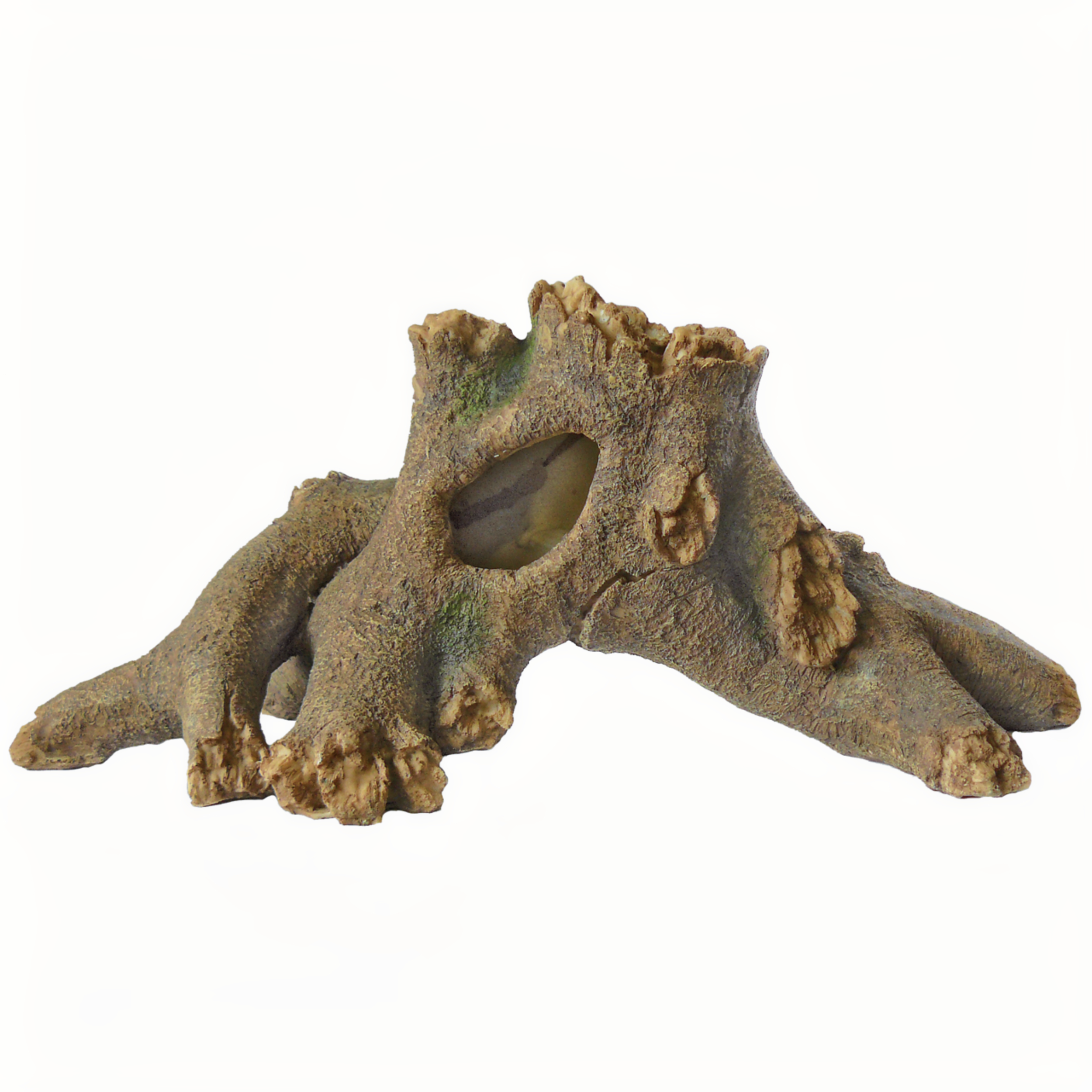 SuperFish - Tree Wortels