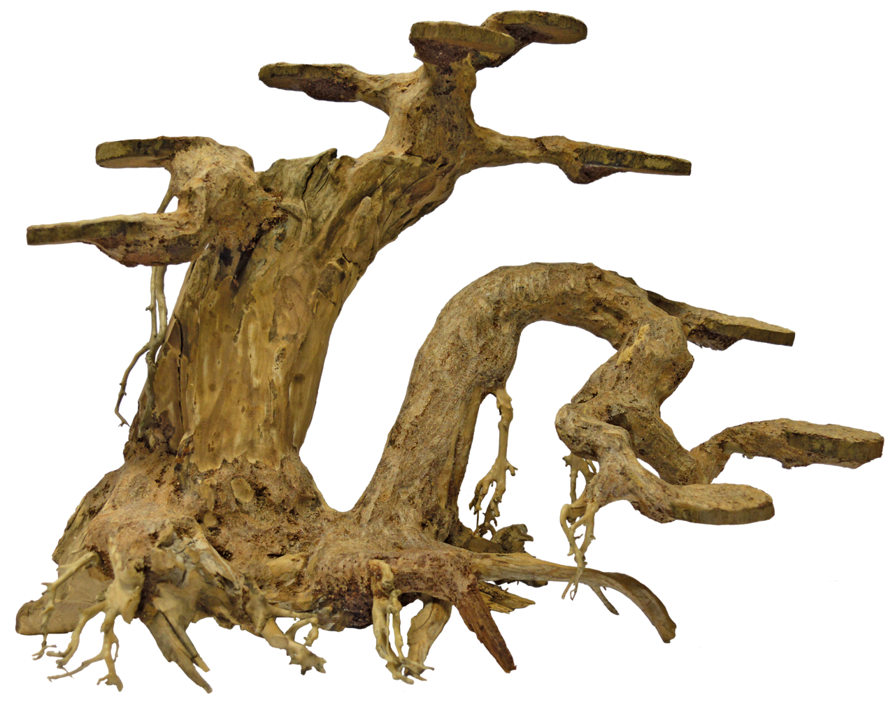 Bonsai Planter Large afbeelding