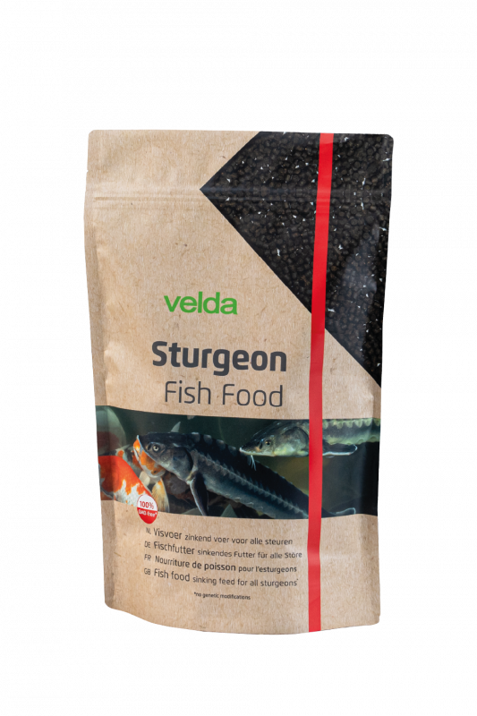 Velda Sturgeon Fish Food - 3mm Proteïnekorrels voor Steuren, 1000ml, Geschikt voor Alle Watertemperaturen afbeelding