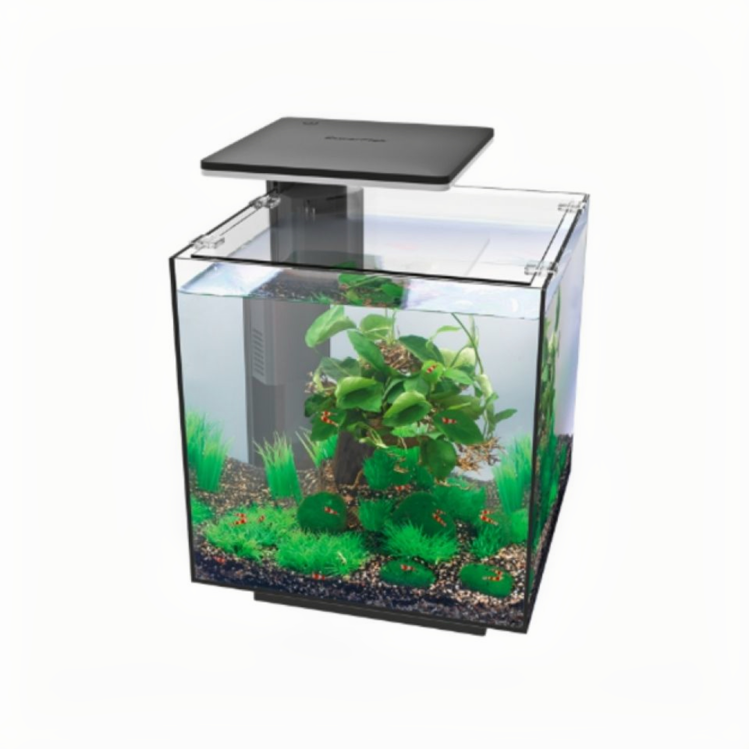 Superfish Qubiq 60 Pro Zwart Aquarium - 60L met Dimbare LED en Filtersysteem afbeelding