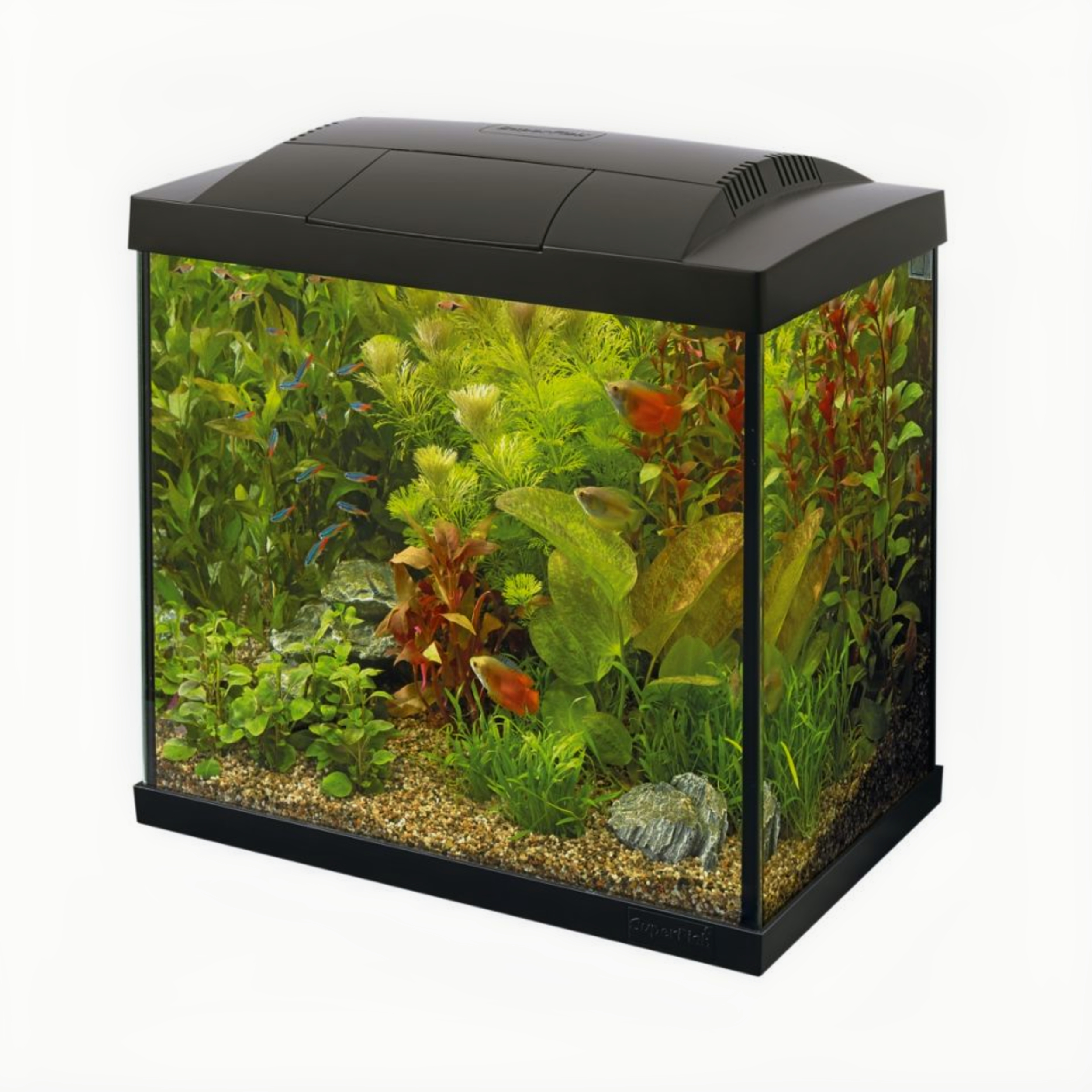 SuperFish - Start 30 Tropical Kit Zwart