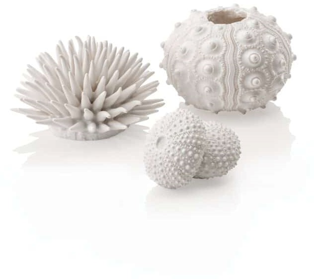 biOrb Zee-egel Set Wit